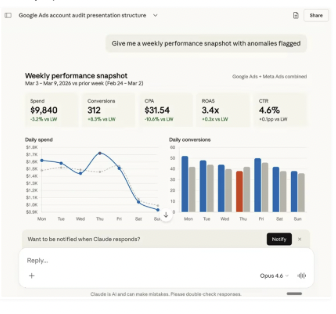 Weekly performance snapshot — spend, conversions, CPA, ROAS with anomalies flagged